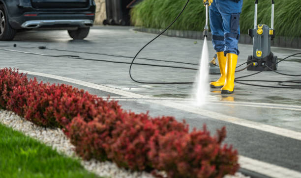 Best Animal Enclosure Cleaning  in Edcouch, TX