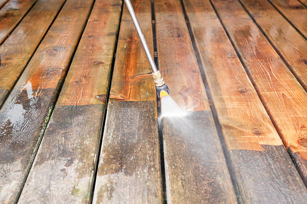Best Fence Cleaning  in Edcouch, TX